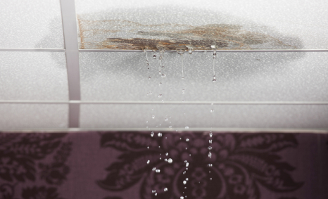 Plumber Terrey Hills